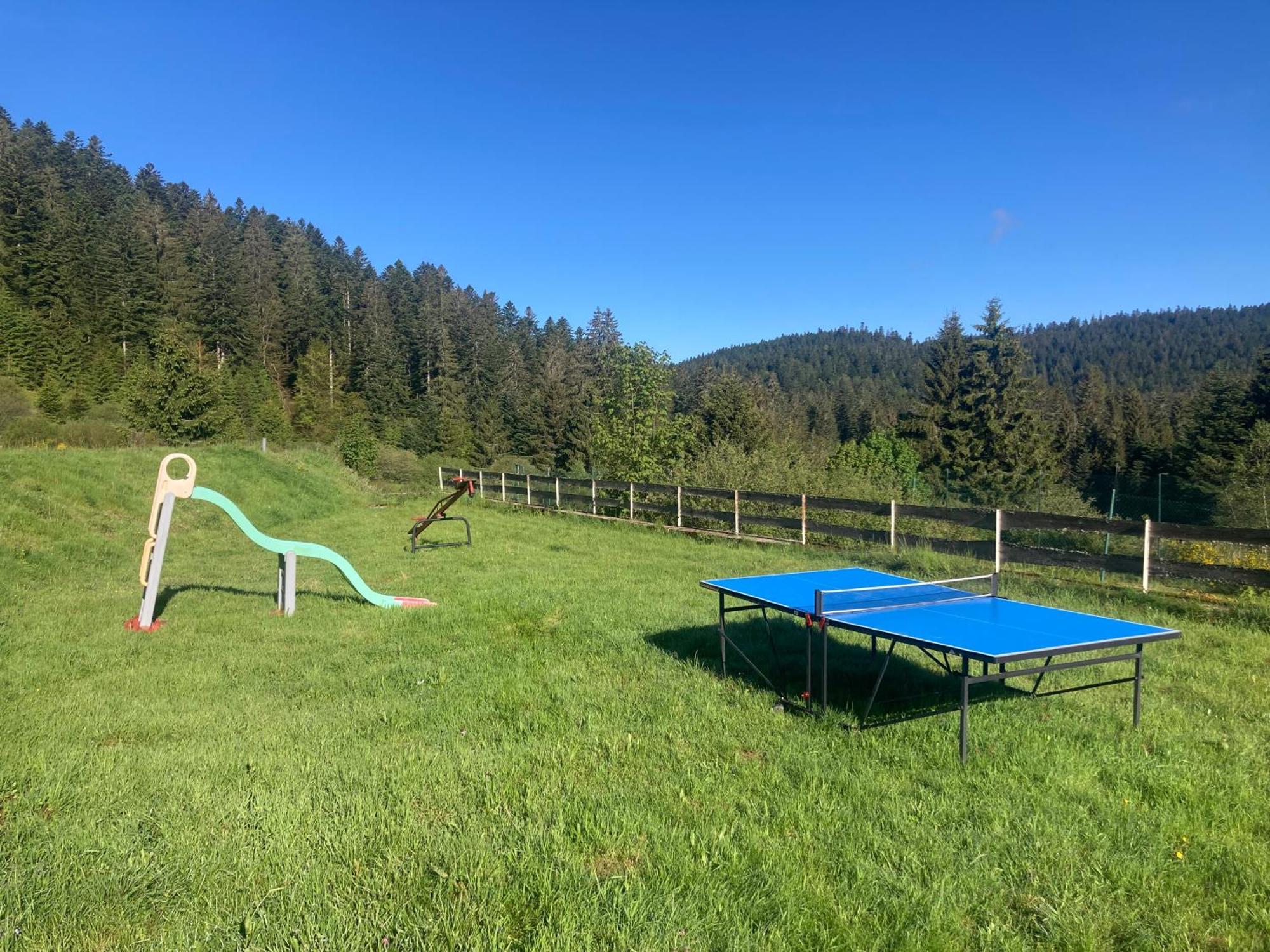 Le Perchoir Du Grand Valtin - 5 Personnes - Altitude 830 * Ban-sur-Meurthe-Clefcy